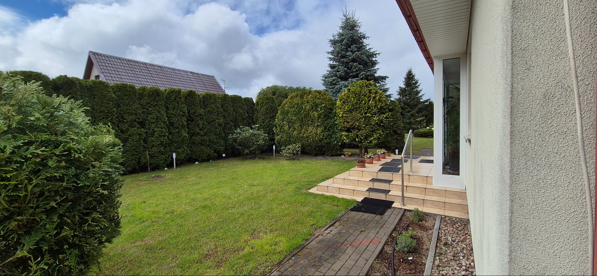 Zadbany ogród z równo przystrzyżonym trawnikiem, tujami tworzącymi żywopłot i ozdobnymi drzewami. Widoczne schody prowadzące do domu i ścieżka z kostki brukowej.