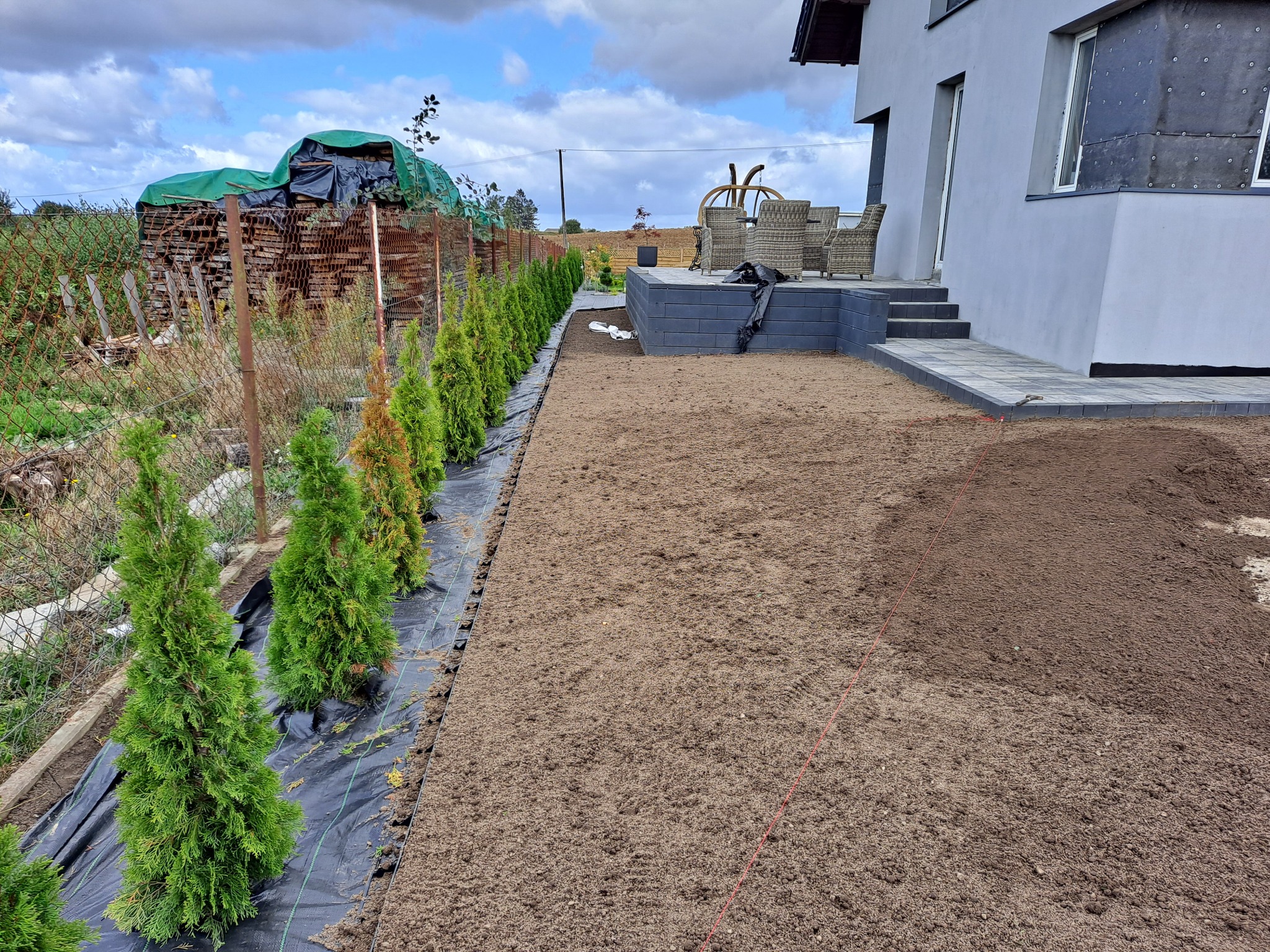 Przygotowany teren pod trawnik z posadzoną linią młodych drzewek iglastych wzdłuż ogrodzenia, widoczny dom z tarasem i meblami ogrodowymi w tle.