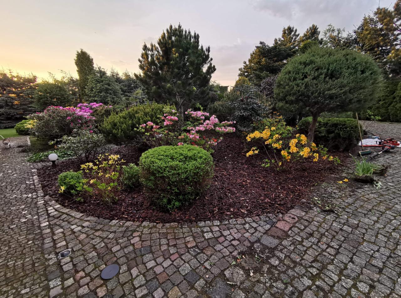 Kwitnący ogród z różnorodnymi krzewami i drzewami iglastymi, wyściółkowany korą, obok leżą narzędzia ogrodnicze na kostce brukowej.