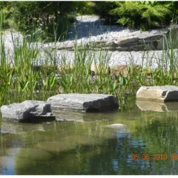 Oczko wodne z kamiennymi stopniami i roślinnością wodną, widoczne odbicia w wodzie, data wykonania zdjęcia w prawym dolnym rogu.