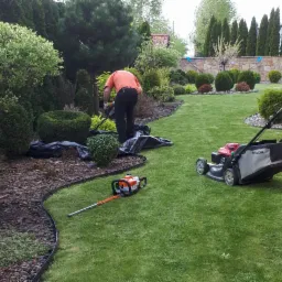 Mężczyzna w pomarańczowej koszulce przycina krzewy ozdobne nożycami elektrycznymi, obok leży kosiarka Honda i rozłożona folia ochronna, w tle zadbany trawnik i formowane drzewa.