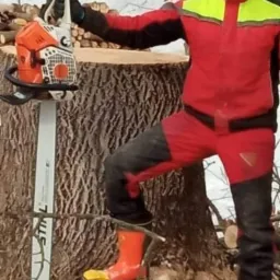 Mężczyzna w czerwono-czarnym stroju ochronnym i pomarańczowych butach, stojący obok pnia drzewa z ułożonymi na nim kawałkami drewna, trzymający w ręku piłę spalinową Stihl, w tle zimowy krajobraz...