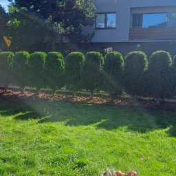 Pielęgnacja ogrodów Chełm Śląski 1