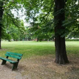 Zielona ławka w parku na tle świeżo skoszonego trawnika i drzew kasztanowca.