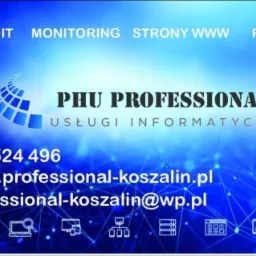Wizytówka firmy PHU Professional Usługi Informatyczne z numerem telefonu, adresem strony internetowej i adresem e-mail na niebieskim tle z grafiką sieci komputerowej.