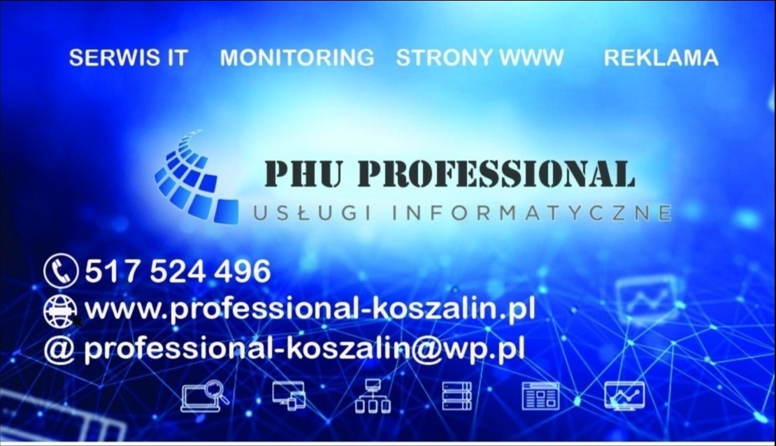 Wizytówka firmy PHU Professional Usługi Informatyczne z numerem telefonu, adresem strony internetowej i adresem e-mail na niebieskim tle z grafiką sieci komputerowej.