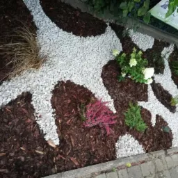 Rabata z białych kamieni i kory, ozdobiona wrzosem, trawami ozdobnymi i hortensjami, tworząca dekoracyjny wzór w ogrodzie.