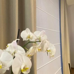 Studio Aranżacji Okien - Beżowe zasłony i białe rolety rzymskie z poziomymi listwami, dopełnione kwitnącą orchideą. Subtelna aranżacja okna w neutralnej kolorystyce.