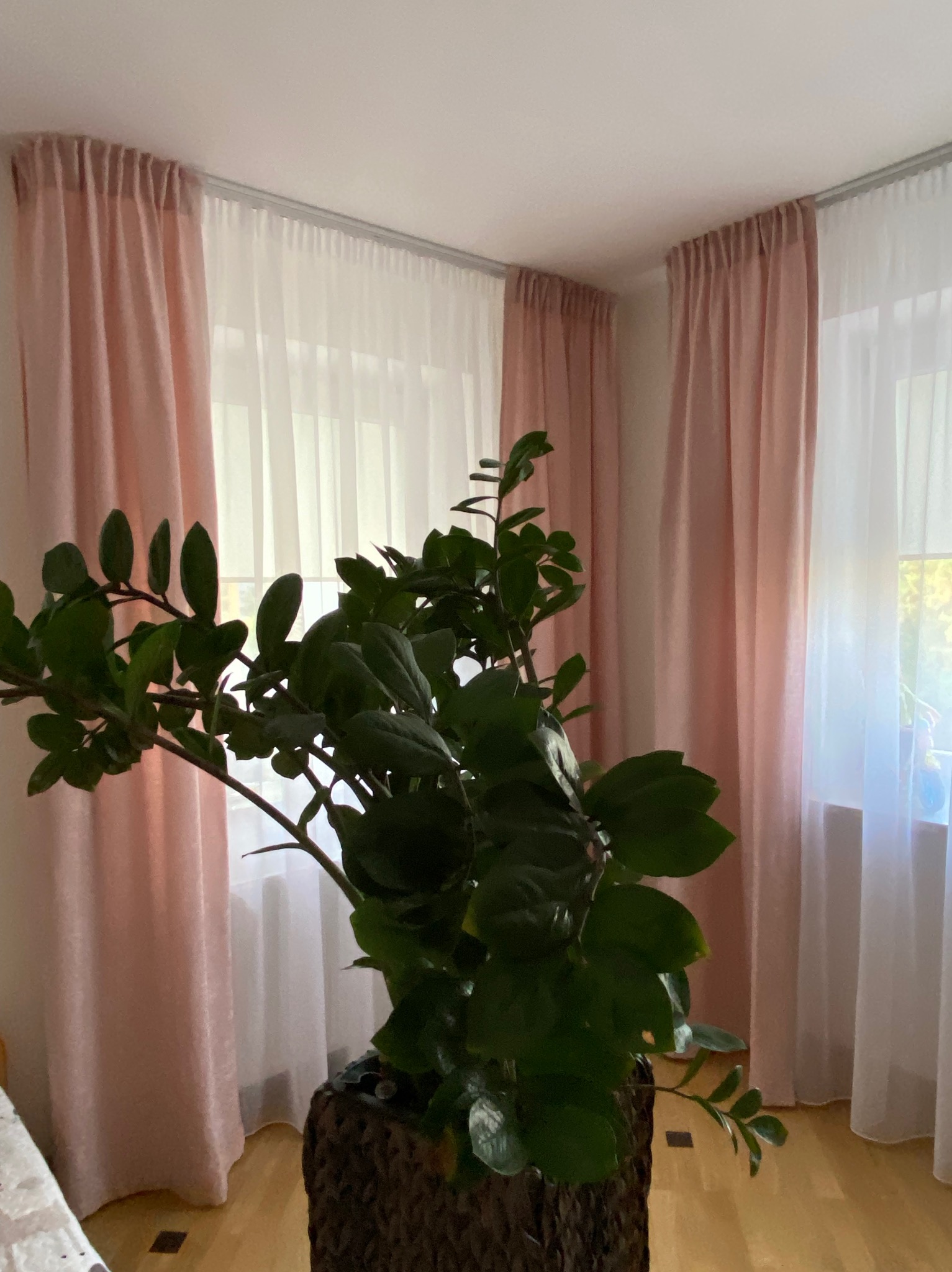 Jasnoróżowe zasłony i białe firanki w oknach, widoczne zza zielonej rośliny doniczkowej. Delikatne światło dzienne.