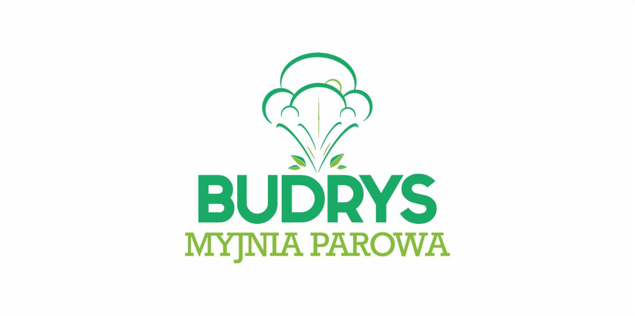 Logo firmy Budrys Myjnia Parowa z symbolem stylizowanego obłoku pary i zielonym napisem na białym tle.