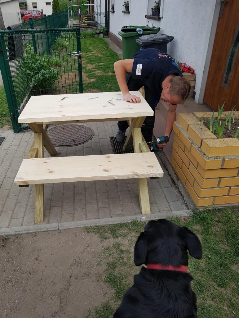 Montaż surowej drewnianej altany ogrodowej przez montera z wkrętarką, z czarnym psem obserwującym pracę