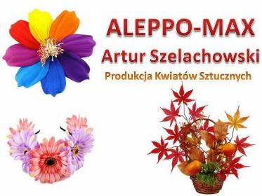 ALEPPO-MAX Artur Szelachowski - Artykuły biurowe Dąbrowa Górnicza