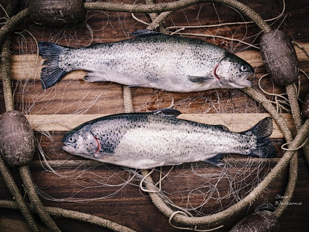 Dwie świeże, surowe ryby pstrąga ułożone na drewnianym tle z elementami sieci rybackiej i obciążnikami. Całość w ciepłej tonacji brązów i szarości.