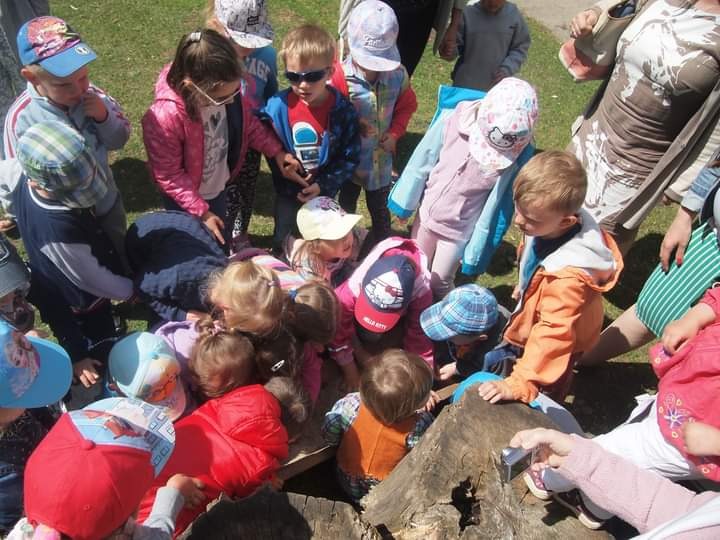 Grupa dzieci w różnym wieku skupiona wokół spróchniałego pnia drzewa z deską, niektóre z nich zaglądają do środka, na trawie, w tle osoby dorosłe.