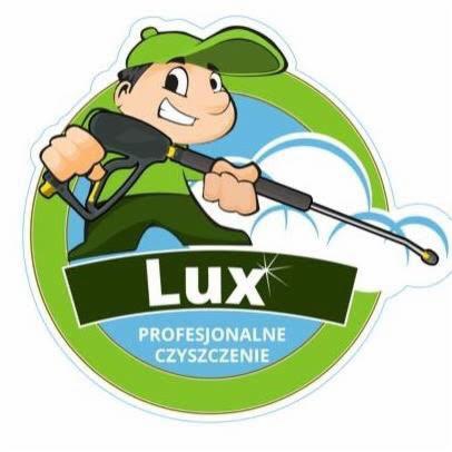 Ilustracja: Uśmiechnięty mężczyzna z myjką ciśnieniową, logo 'Lux Profesjonalne Czyszczenie' w zielono-niebieskiej kolorystyce. Grafika reklamowa.