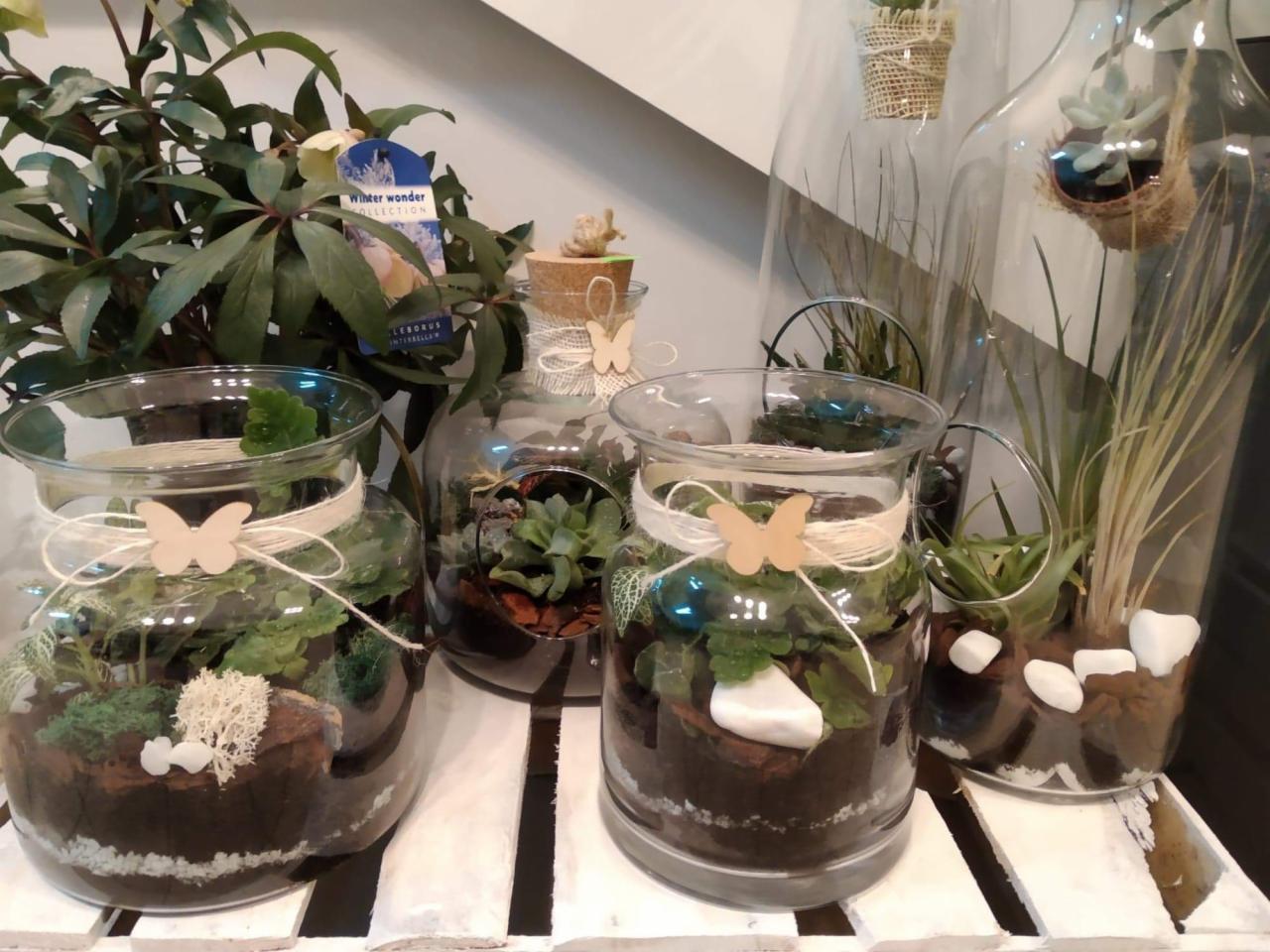 Szklane naczynia z kompozycjami roślinnymi, w tym sukulenty i mech, ozdobione drewnianymi motylami i sznurkiem, ustawione na białym drewnianym regale.