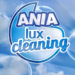 Ania-Lux Cleaning - Transport Busami Gryfino