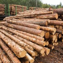 Tarcica budowlana Andrychów 3