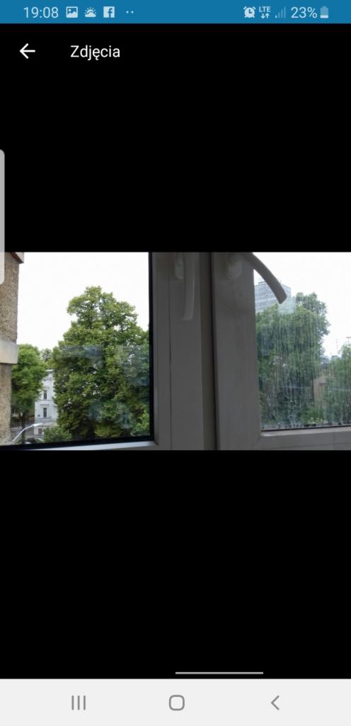 Widok z okna na zieleń miejską, szyba z smugami po deszczu, białe ramy okienne.