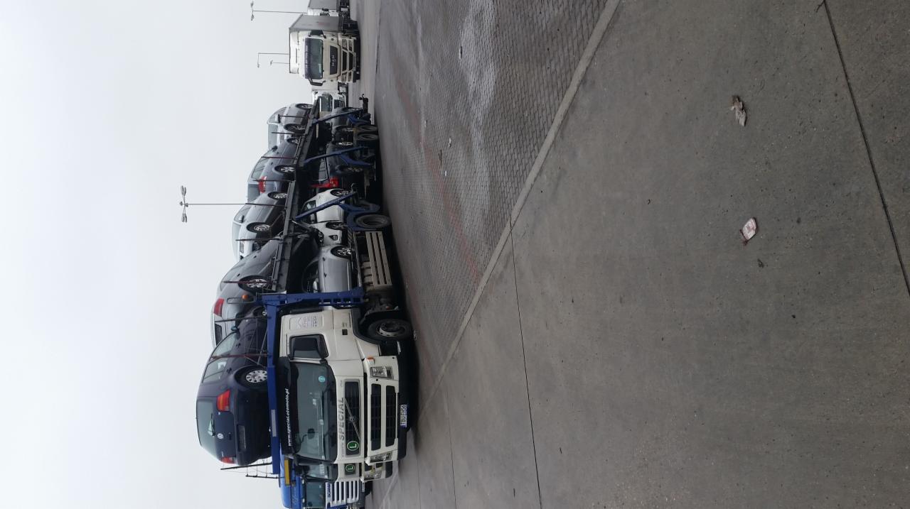 Ciężarówka z lawetą przewożąca kilkanaście samochodów osobowych na parkingu z kostki brukowej, widoczne inne ciężarówki w tle.