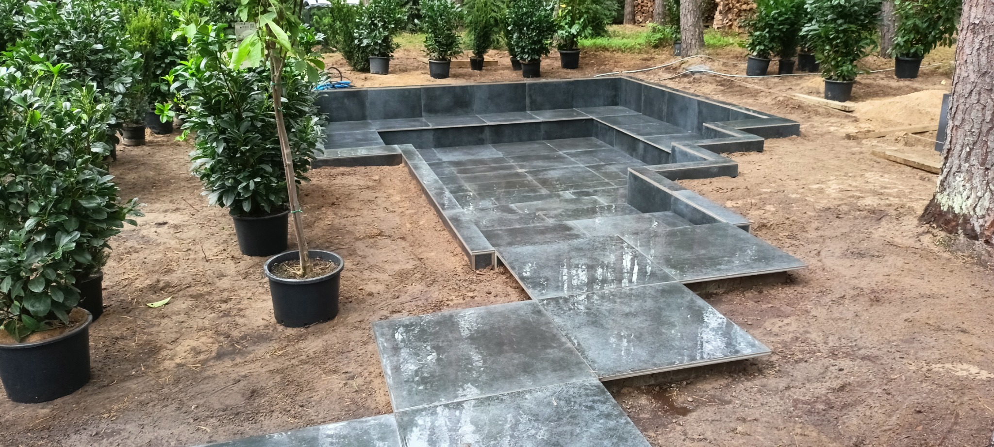 Kwadratowe płyty z szarego kamienia tworzą ścieżkę i podwyższony taras na nierównym terenie, obok drzew i krzewów w donicach.