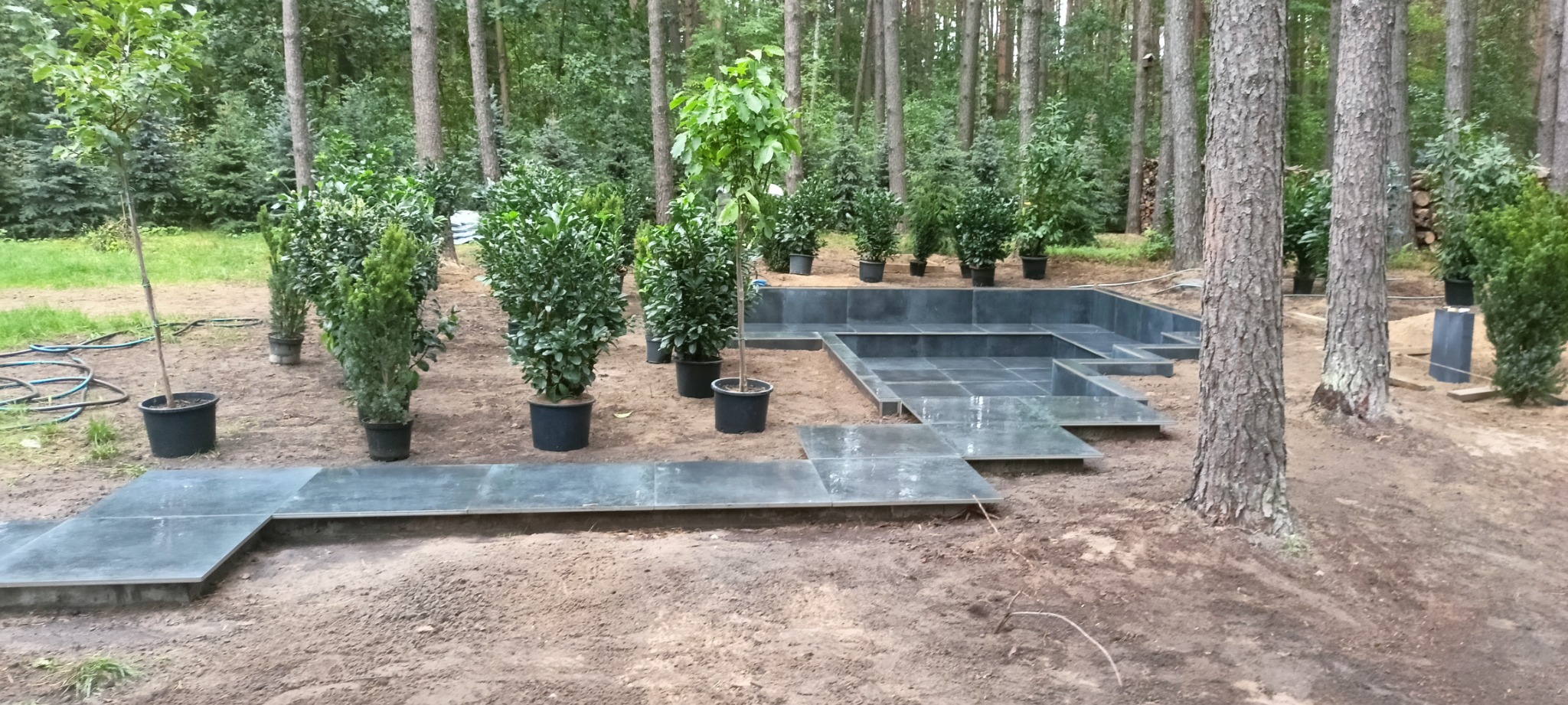 Aranżacja przestrzeni w leśnym ogrodzie z wykorzystaniem szarych płyt chodnikowych i roślin w donicach, tworzących ścieżkę i taras.