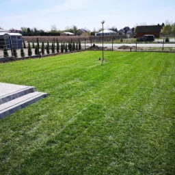 Świeżo założony trawnik z rolki, widoczne równe pasy i intensywna zieleń, obrzeża wykończone korą, w tle rząd małych tuj i ogrodzenie z siatki.