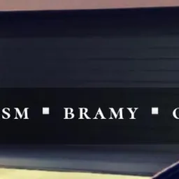 Ciemna brama garażowa segmentowa z widocznym fragmentem samochodu na tle elewacji budynku i zieleni.