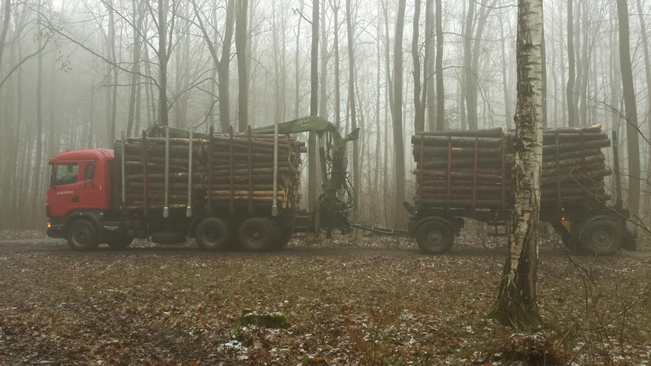 Czerwona ciężarówka z przyczepą załadowana drewnem, widoczna w zalesionym terenie we mgle.