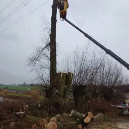 Operator w podnośniku koszowym przycina wysokie drzewo, z widocznymi świeżo ściętymi gałęziami i pniem oraz liniami energetycznymi w tle, podczas pochmurnej pogody.