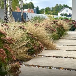 Odśnieżanie dróg i placów Rybnik 4