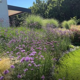 Odśnieżanie dróg i placów Rybnik 3