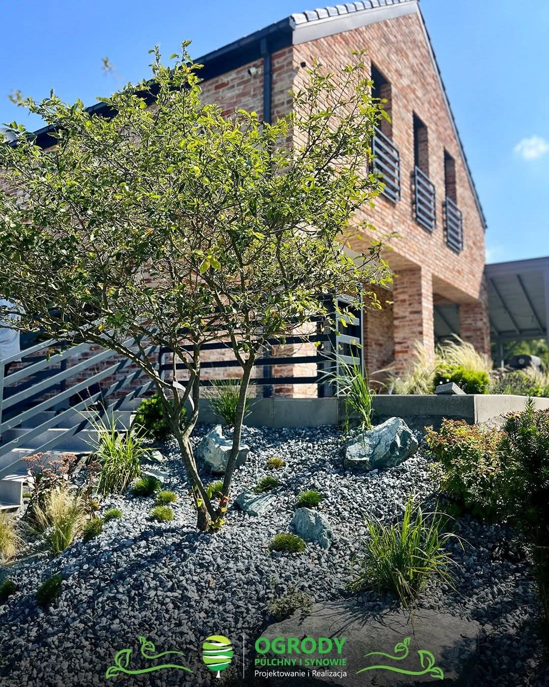 Ogród skalny z młodym drzewkiem na tle nowoczesnego domu z cegły, oświetlony słońcem. Szara żwirowa nawierzchnia i starannie dobrane rośliny tworzą harmonijną kompozycję.