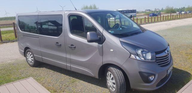 Szary bus Opel Vivaro na trawiastym terenie z wiatrakami w tle, widoczny z boku, lekko od przodu.