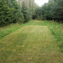 Wyraźnie wykoszony trawnik na tle wysokiej trawy i drzew, widok z perspektywy operatora kosiarki.