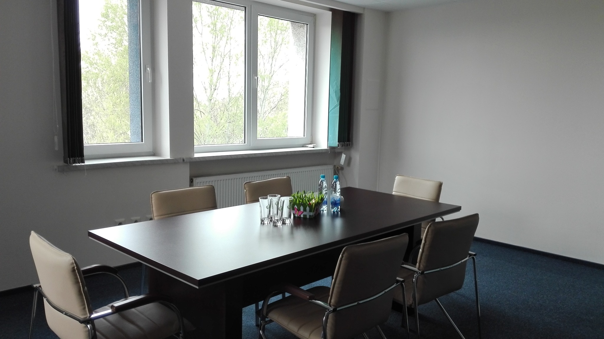 Sala konferencyjna z ciemnym stołem otoczonym beżowymi krzesłami, na stole szklanki, woda w butelkach i mały stroik z kwiatami, widok z okna na drzewa.