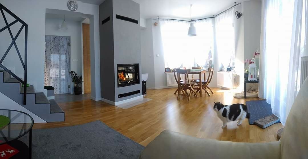 Panoramiczny widok na jasny salon z drewnianą podłogą, szarym kominkiem z paleniskiem, schodami z czarną balustradą, marmurową ścianą w tle i kotem w pierwszym planie.
