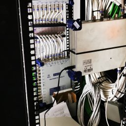 Piotr - Rozdzielnia kablowa z licznymi przewodami, wzmacniacz sygnału i multiswitch. Instalacja w szafie rack, widoczne kable koncentryczne i złącza.