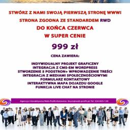Strony internetowe Katowice 2