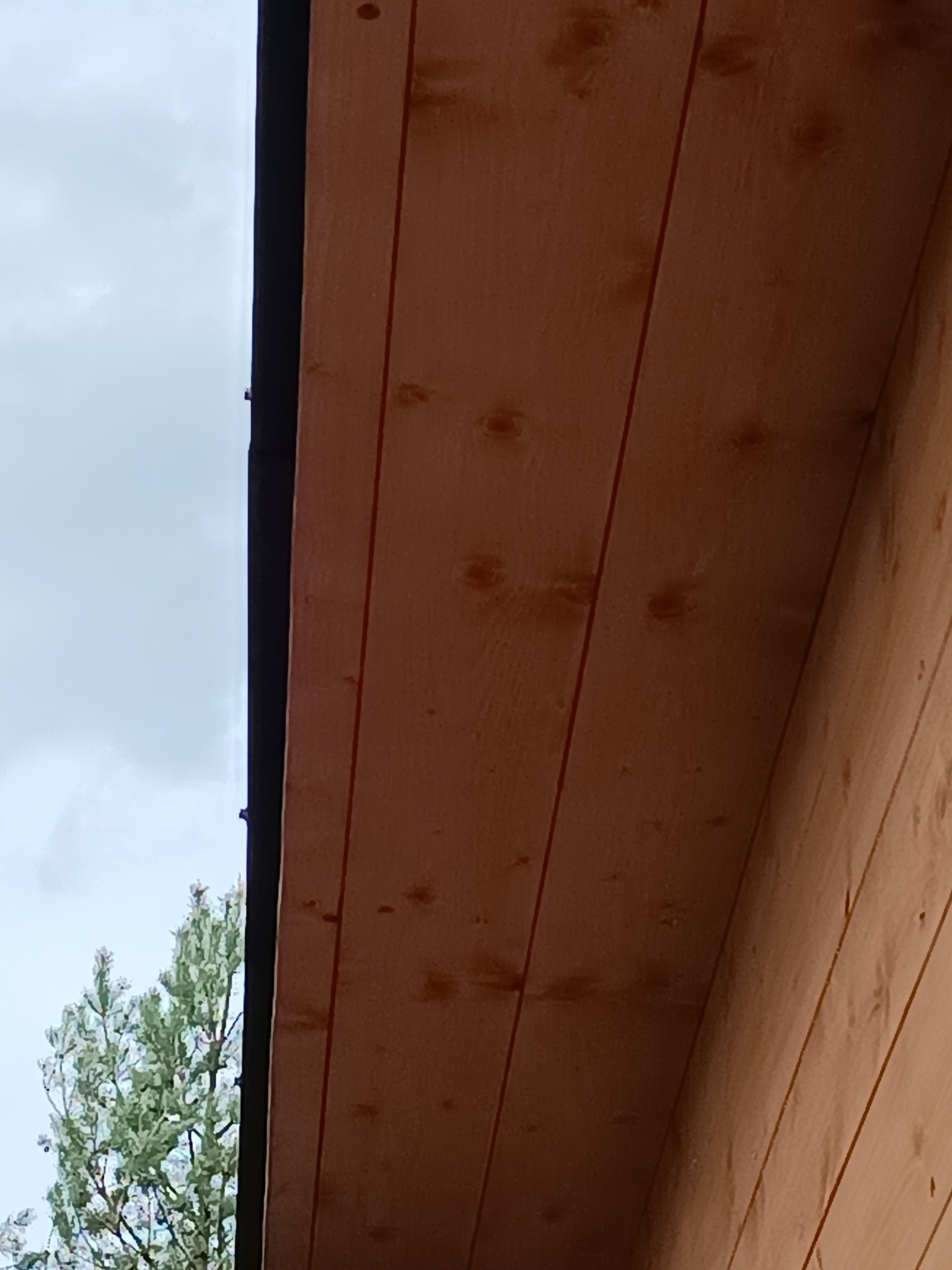 Drewniana podbitka dachowa z widocznymi słojami i czarną listwą wykończeniową na tle błękitnego nieba i zieleni drzew. Ujęcie pod kątem.