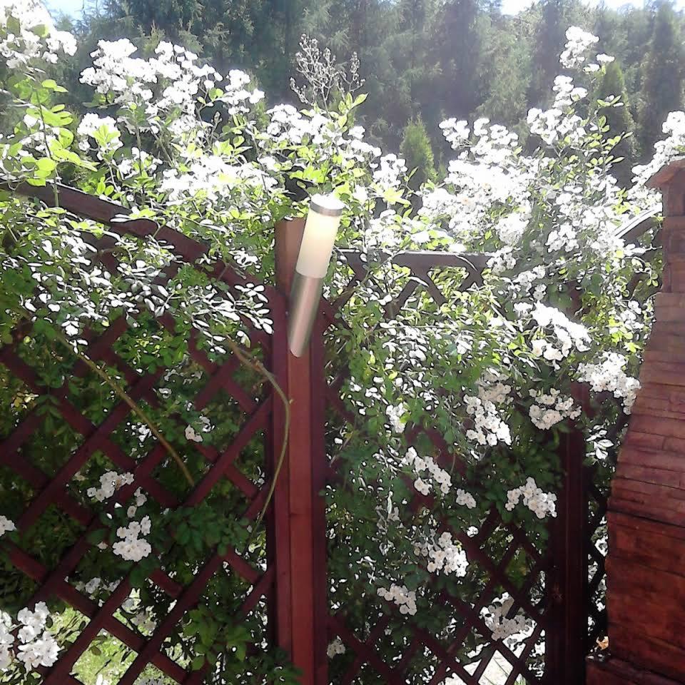 montaż lamp ogrodowych