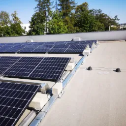 Rząd paneli słonecznych na płaskim dachu z widocznymi elementami montażowymi i gumowymi odbojnikami, z drzewami w tle.