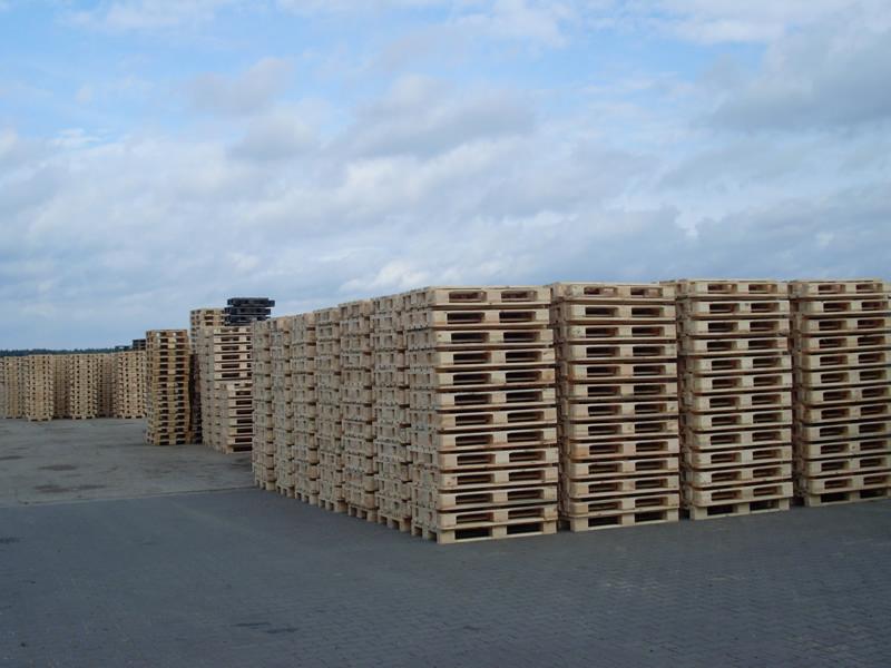 Stosy jasnych, drewnianych palet ułożone na zewnątrz pod pochmurnym niebem. W tle widoczne kolejne rzędy palet.