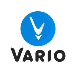 Vario | Design Studio - Usługi IT Borzęcin Górny