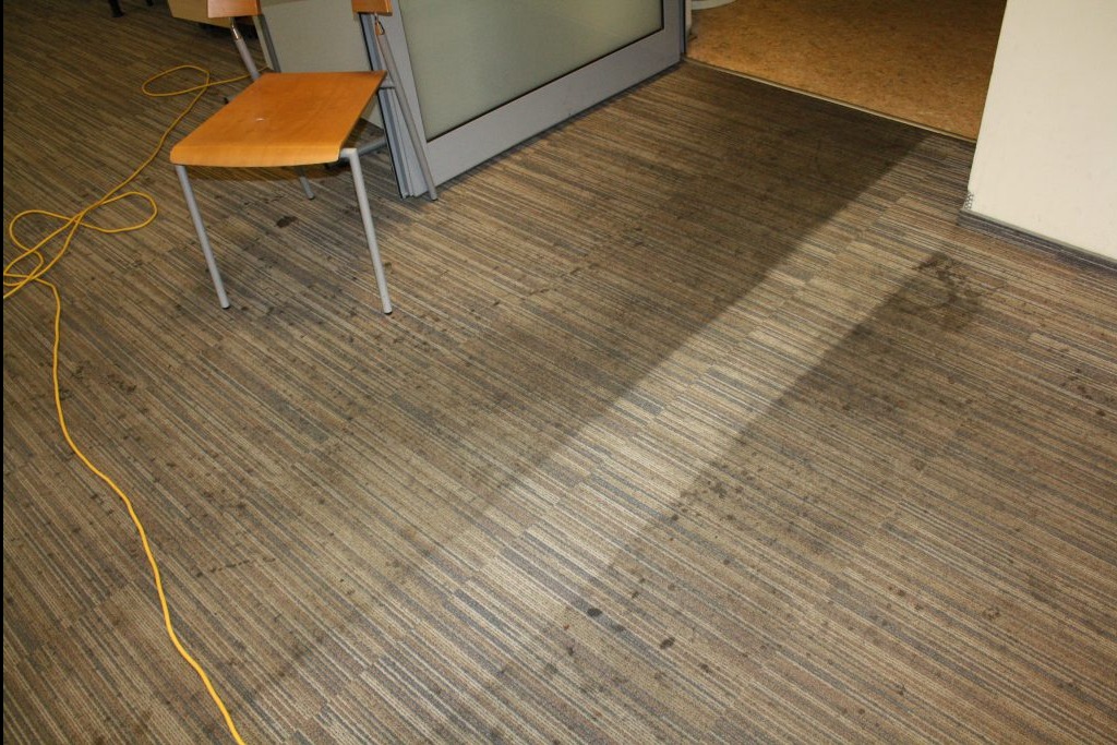 Fragment biura z brudnym dywanem w pasy, częściowo wyczyszczonym, obok krzesło i żółty kabel