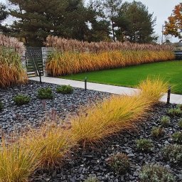 Botanika+ - Prace działkowe Byt&oacute;w