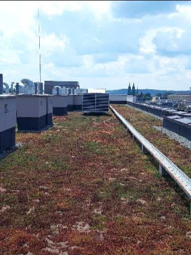 Zielony dach z roślinnością na budynku przemysłowym, widoczna instalacja wentylacyjna i odległe budynki w tle.