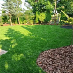 Perfekcyjnie utrzymany trawnik z rolki z regularnym koszeniem, obrzeże z kory, świeżo posadzone drzewko z jasnymi liśćmi na tle zieleni ogrodu.