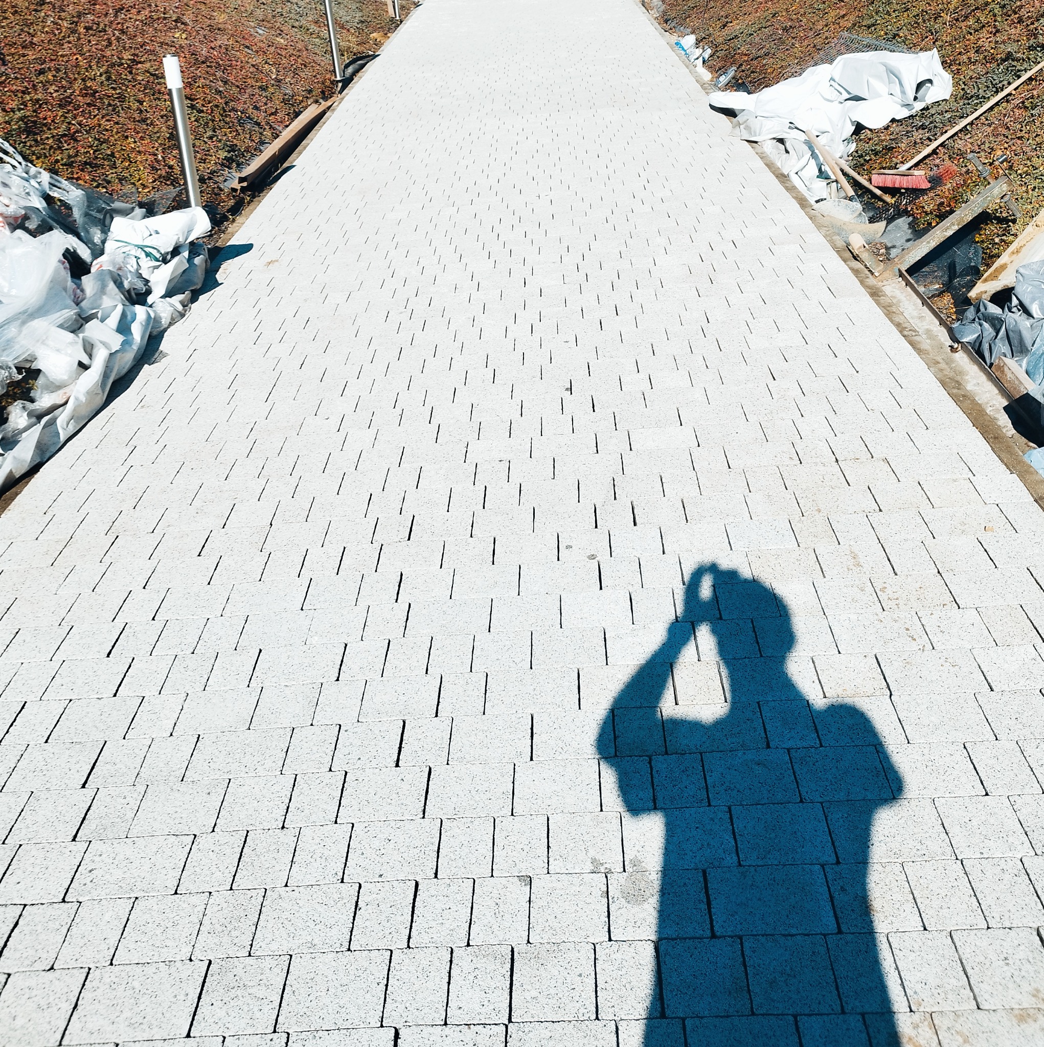 Długa ścieżka ułożona z jasnoszarej kostki brukowej, rzędy kostki oddzielone wąskimi szczelinami. W tle widoczne rośliny, po bokach folie i narzędzia. Na pierwszym planie cień osoby robiącej...