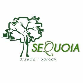 SEKWOJA - drzewa i ogrody - Układanie Bruku Olkusz